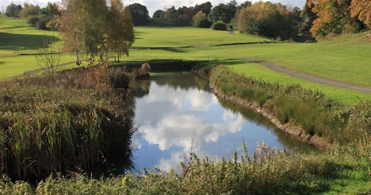 Golf clubs in Flintshire county, Wales